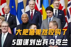 大肥鱼果然咬钩了，5国谋划出兵乌克兰，美劝中方出兵，跟不跟？视频封面