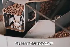 松子的加工过程松果松塔松子视频封面