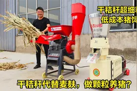 干秸秆代替麦麸，做颗粒养猪行不行？低成本颗粒养猪：草浆机+260视频封面