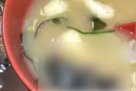 日本牛肉饭连锁店承认：味噌汤中混入老鼠尸体视频封面