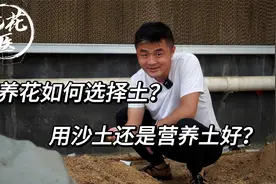 养花如何选择土？？用沙土还是营养土好？视频封面