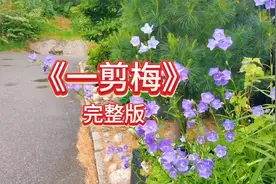 《一剪梅》完整版，经典老歌，好听；自然风光，好看。视频封面