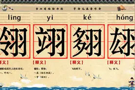 学习汉字，学习生僻字，每天进步一点点。20240716翎翊翗翃视频封面