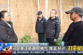 山西：农技人员指导农户展开雪后应对视频封面