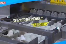 五万只鸭只需一名“鸭管家”！福州这个蛋鸭养殖基地有“智慧”视频封面