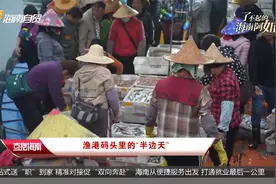 渔港码头里的“半边天”视频封面