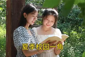 郑州实验中专学校花园一角，托普的蔷薇花树下，每一帧都是浪漫~视频封面