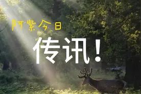 紫微星传讯视频封面
