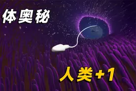 从精子到婴儿，胎盘功不可没，3D动画带你了解生命形成的过程