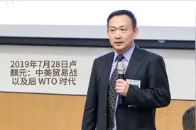 2019年7月28日卢麒元：中美贸易战以及后 WTO 时代视频封面