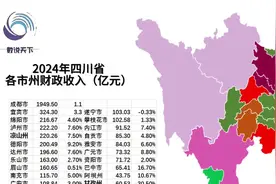 2024年四川省各市州财政收入数据一览视频封面