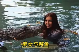 美女喂鳄鱼，不小心被鳄鱼咬到手了！太可怕了视频封面