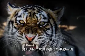 反封神连续巨制24番：到底谁是蝼蚁？欠我的你们要加倍偿还！视频封面