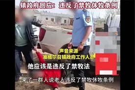 老人放羊被罚3000羊被拉走后续，官方确认处罚无问题，网友却不满视频封面