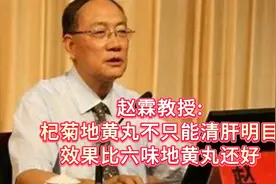 赵霖教授：杞菊地黄丸不只能清肝明目，效果比六味地黄丸还好。视频封面