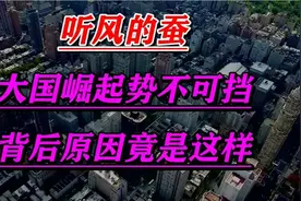 听风的蚕，大国崛起势不可挡！背后原因竟是这样！视频封面