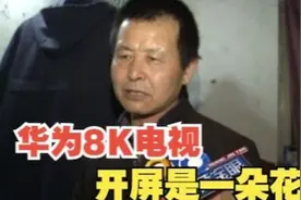 【1818黄金眼】花一个月工资买华为8K电视，开屏是一朵花？视频封面