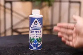 家庭养富贵竹用什么肥料？园艺师教你，用富贵竹专用营养液视频封面