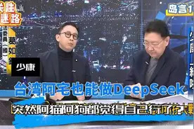 台湾阿宅也能做DeepSeek，阿猫阿狗觉得自己也行了？视频封面