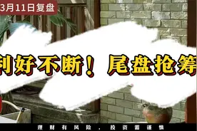 利好不断！尾盘抢筹视频封面