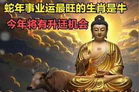 蛇年事业运最旺的属相牛，今年将有升迁机会视频封面