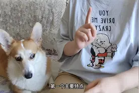 17岁少年被爆虐猫，怎么分辨心理变态？视频封面