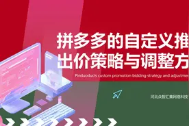 拼多多的自定义推广出价策略与调整方法视频封面