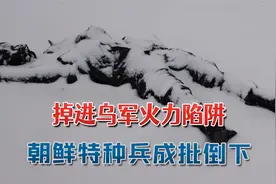 掉进火力陷阱，朝鲜特种兵成批倒下：一夜间树林里到处都是尸体视频封面