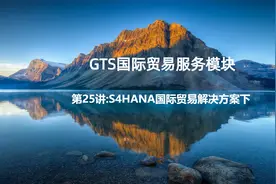 GTS讲座第25讲:S4HANA国际贸易解决方案下视频封面