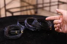 家庭养花卉绿植盆景造型用什么工具？园艺师教你，用盆景铝线视频封面