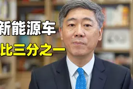 新能源车销量占比已上升到三分之一，怎么看？#财经有“稻”#视频封面