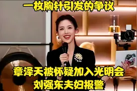 一枚胸针引发的争议，章泽天被怀疑加入光明会，刘强东夫妇报警！视频封面