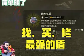 如何拿海利亚盾-100%攻略简单明了-王国之泪视频封面