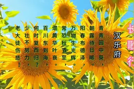 少壮不努力，老大徒伤悲。努力请从今日始，好好珍惜宝贵的时光啊视频封面