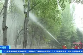 北京杨柳飞絮进入首个高发期 如何治理？总台记者现场介绍视频封面