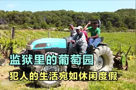 意大利监狱，犯人在岛上自由活动，白天种菜下棋晚上打游戏看电视