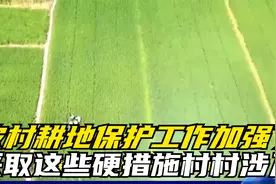 2024年的农村耕地保护工作加强了，采取这些硬措施，村村涉及视频封面