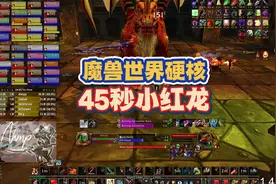 魔兽硬核服世界首杀小红龙，45秒打完！0阵亡差点翻车视频封面