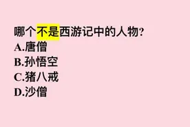 哪个不是西游记中的人物？这几个答案，哪一个正确？