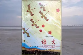 80后小学语文课本第一册视频封面