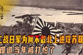二战德国有俩假盟友，日本为何不北上进攻苏联？难道当年被打怕了视频封面