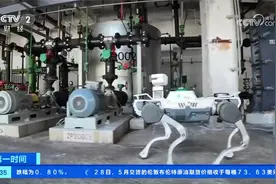 浙江杭州：AI机器狗上岗 代替人工巡检危化车间视频封面