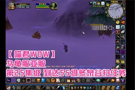 【喵君WOW】乌龟服亚服 第25集级 到达55级冬泉谷扫任务