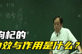 倪海厦：枸杞的功效与作用是什么？视频封面