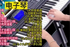 旋律优美的电子琴DJ情歌精选26首大联奏