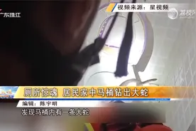 厕所惊魂 居民家中马桶钻出大蛇视频封面