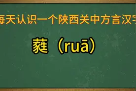陕西关中方言汉字：蕤（ruā）视频封面