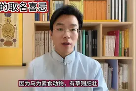 属马的取名喜忌！