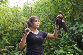 寻找良好的庇护所，探测野生鸡的痕迹，森林中的狩猎技巧视频封面