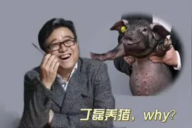 丁磊的养猪故事：用梦想改变农业视频封面